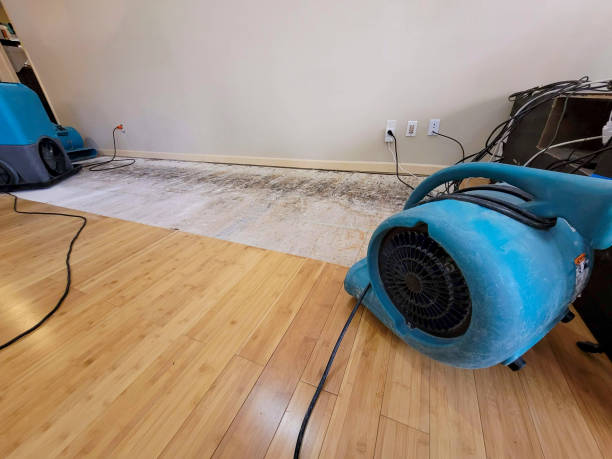 Professional Structural Drying technician working in Bowdon, GA